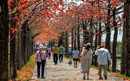 春天台南賞花去！國際蘭展倒數3/16   最佳賞花景點一次看