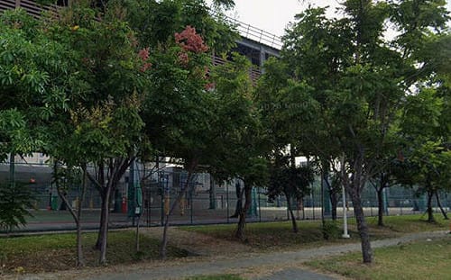 高雄男持刀回母校追砍女同學！辯稱「只是想嚇人」 檢偵結起訴