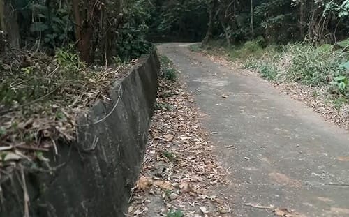 百果山命案死者遭挖眼！高大成曝：恐有黑市介入買賣器官