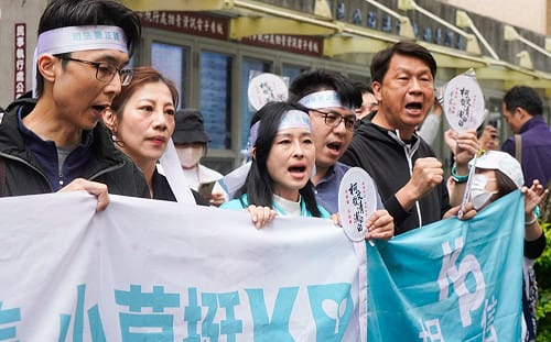 若民眾黨失去核心精神領袖？許淑華：小草票源恐被國民黨順勢收編