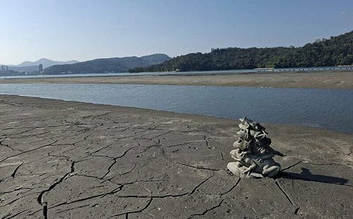 日月潭乾旱清淤！九蛙疊像「底座蛙王」重見天日