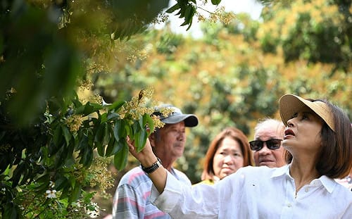 強化農民復耕韌性    邱議瑩爭取農災補助加碼、申請簡化  