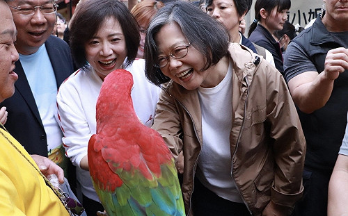 (影)蔡英文重遊台中舊地 登鰲峰山展現過人體力 頭髮都不亂