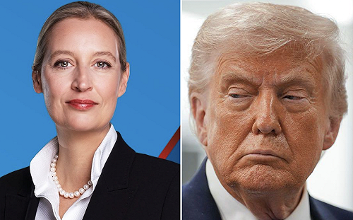 美盟友紛變臉！沙不顧反對與烏同盟、西拒開放領空、德要美撤軍 連教宗都說話了....