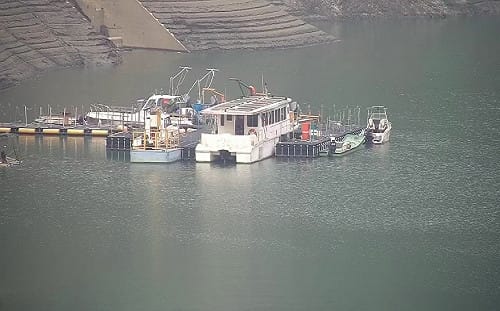 清明連假雨神同行！鯉魚潭水庫進帳60毫米 最新水情數據一次看