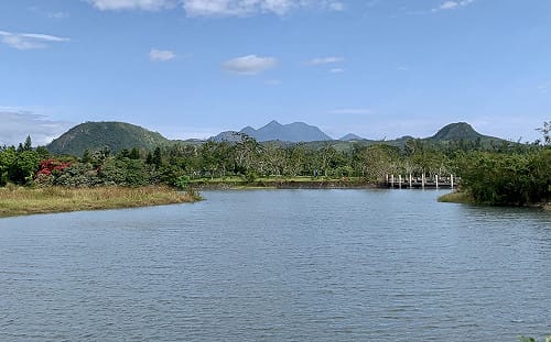 親子遊首選！台東森林公園週末嘉年華 野放小孩挑戰戶外冒險