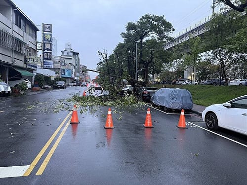 台中路樹倒塌壓損路邊車輛　無人受傷