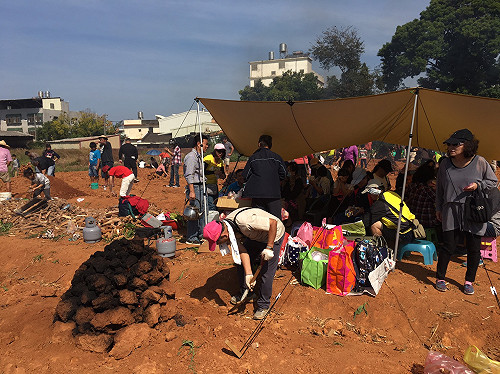 沙鹿地瓜文化祭 千人控窯憶童趣