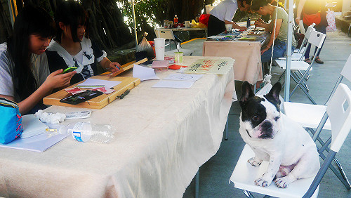 感恩陪伴  淡水海關碼頭舉辦寵物趴