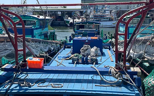 幼貓遭浸豬籠淹死引爆全網怒火！虐貓男遭逮依動保法查處