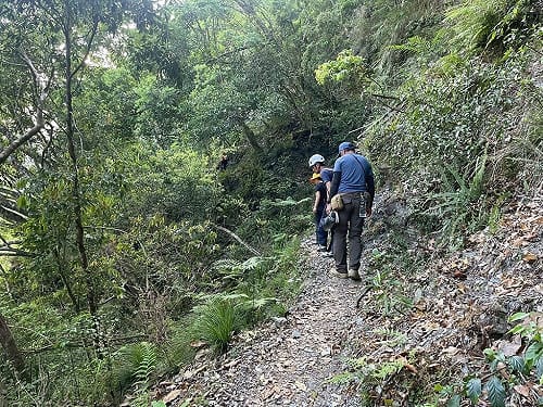 7旬婦登瓦拉米步道失聯5天　花蓮消防公布特徵協尋