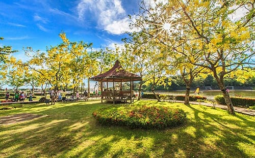 39 組樂團連唱3天！台南五月音樂季5/1虎頭埤風景區登場