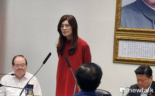 出訪被迫取消要賴自我檢討 鄭麗文：全世界誰支持台獨？