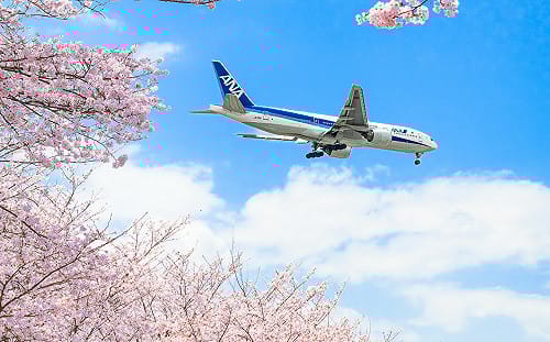日本2大航空5月漲價！家庭旅遊支出多萬元 林氏璧揭3招省荷包