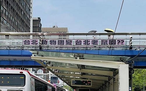 天橋掛布條諷北市變「老鼠園」竟遭警盤查！網：台北戒嚴了？