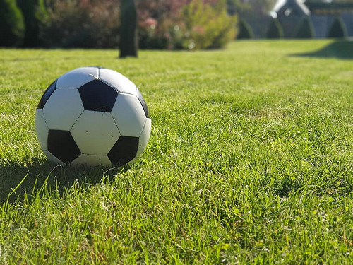 挑釁時掩嘴、不服裁判擅離場　FIFA世界盃紅牌新規