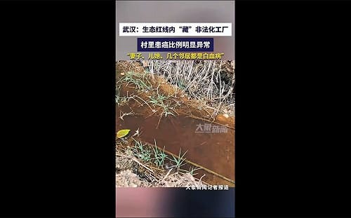 (影) 比例高得不尋常! 湖北小村逾10%居民罹癌 周邊化工廠長期排汙嫌疑大