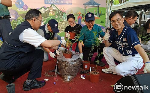 草悟道變身最Chill農村夜生活！「五月瘋藍莓」熱鬧登場