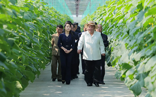 北韓大秀建設成績單！金正恩視察超大溫室農場 : 讓人民穩定吃上蔬菜