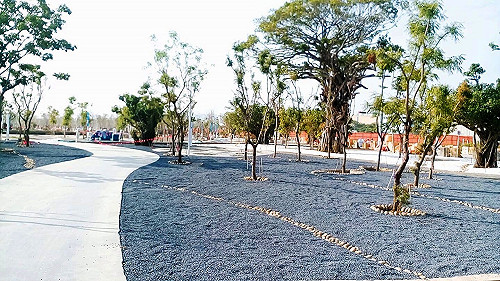 打造首座森林生態公園 水湳中央公園植樹萬棵