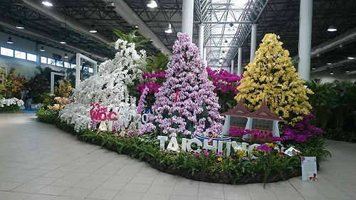 宣傳花博  中市赴厄國參加蘭花展奪亞軍