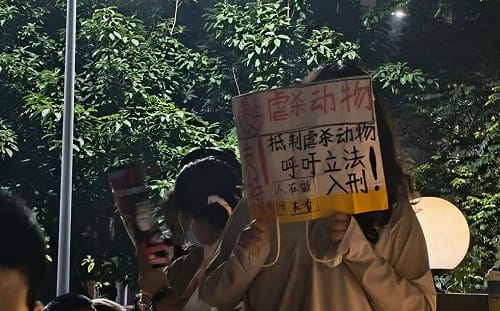 (影) 假領養動物真虐殺 !「山姆打包哥」惹眾怒警竟抓抗議民眾 數百人高喊「放人」