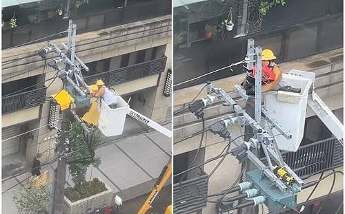 台電維護時暖舉引爆討論！搭建新鳥巢獲網盛讚：直接原地都更