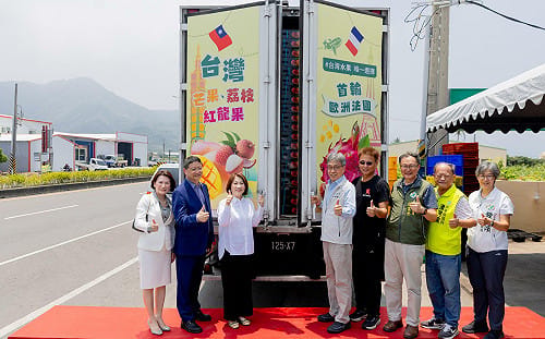 台灣芒果外銷暴增282.7%！登巴黎精品水果店關鍵曝光