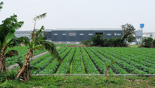 新購自用土地   屏東縣府:可適用優惠稅率