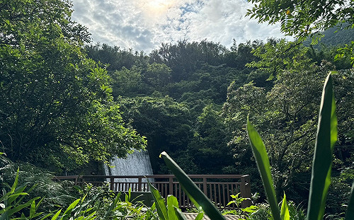 黃金山城新玩法！金瓜石2大遊程 一次體驗淘金、礦山故事