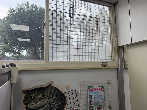 犬隻墜樓亡　飼主遭新北動保罰1.5萬元