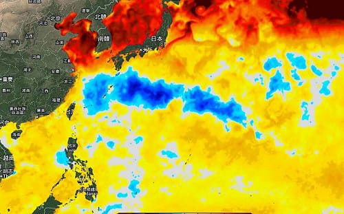台灣東側驚現長條冷水坑！白海豚、巴威「留下同款陷阱」 影響後續颱風