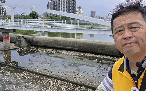 後勁溪又爆死魚潮　薛兆基：建置AI監測有這麼難嗎？  