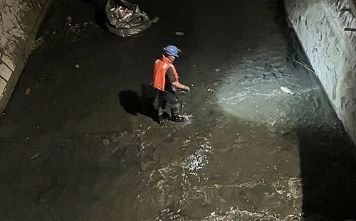 「水位降、溶氧低」釀魚群翻肚    高市水利局緊急打撈後勁溪、右昌排水