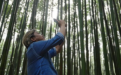 立院明馬拉松表決總預算！觀光署：經費若過 國旅補助8月登記、9月就可用