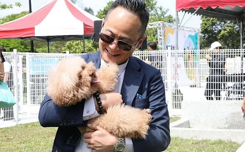 響應國際流浪動物日  童子瑋推四大寵物政見：打造毛小孩友善之城