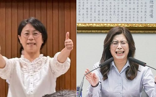 翁曉玲「一卡車倒票」惹怒藍營？張育萌爆傅崐萁親電要閉嘴　縣市長也開罵