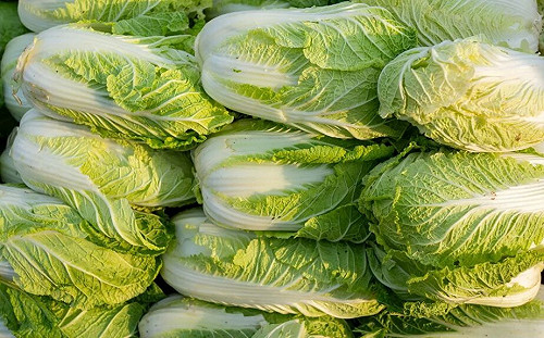 中國「甲醛白菜」風暴延燒！韓國99%泡菜自中輸入 食品單位緊張了