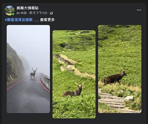分享水鹿漫步合歡山AI照惹議　南投分署致歉：未刻意造假