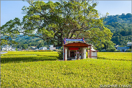 祖墳、土地公廟卡關太陽能? 農委會 : 視個案處理