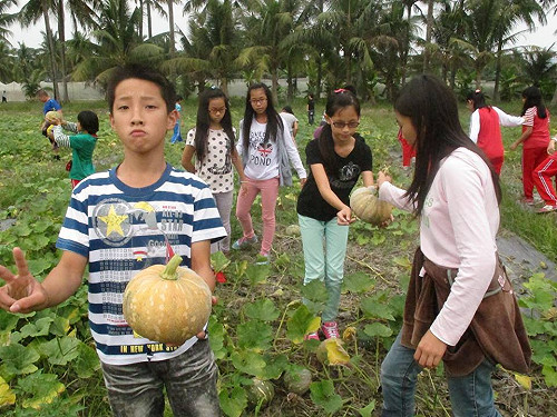 來去高雄吃瓜瓜！南瓜、絲瓜通通有