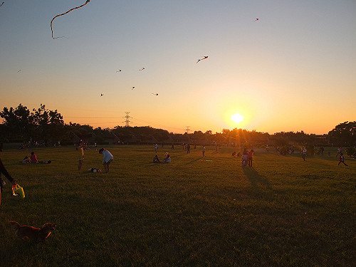 公設保留地50餘年未開闢 中市470公頃地將更有效利用