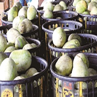 書摘精選》Bonjour, 菜市場：從市場到料理的味覺之路》