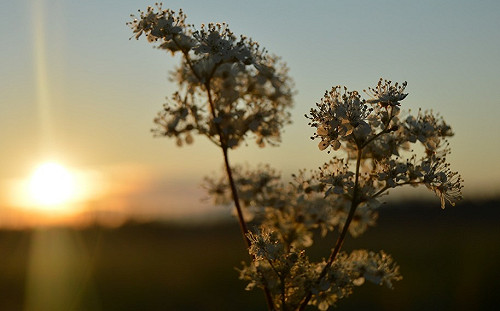 北台灣周末回溫轉晴  彭啟明：把握穩定好天氣