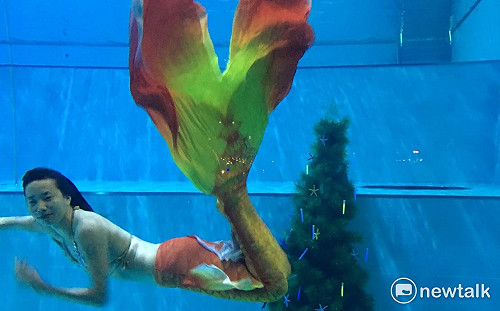 從耶誕水到跨年!看過美人魚戲水舞耶誕樹?