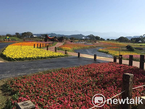 元旦連假花毯節超吸睛  免費接駁車最方便