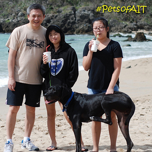 AIT迎狗年臉書「汪汪」  明星狗Hope打頭陣
