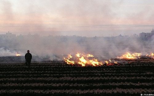 清明連假期間大氣擴散差  環保署籲勿燒雜草
