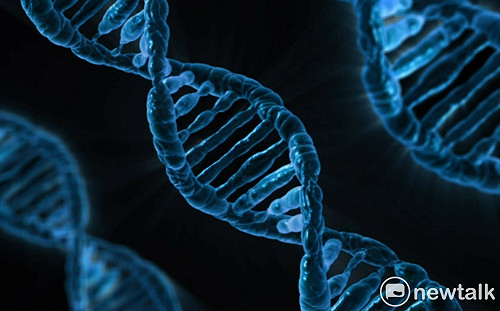 首例免疫愛滋！？ 中國誕生「基因編輯嬰兒」