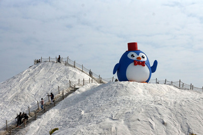 呆萌巨大公仔迎新春!台鹽打造了這隻